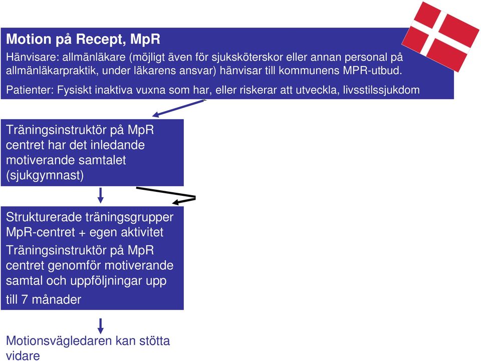 har det inledande motiverande samtalet kontaktperson och stöttar under träningstiden Strukturerade träningsgrupper MpR-centret + egen aktivitet Träningsinstruktör på MpR centret genomför motiverande