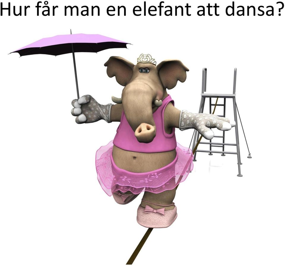 elefant