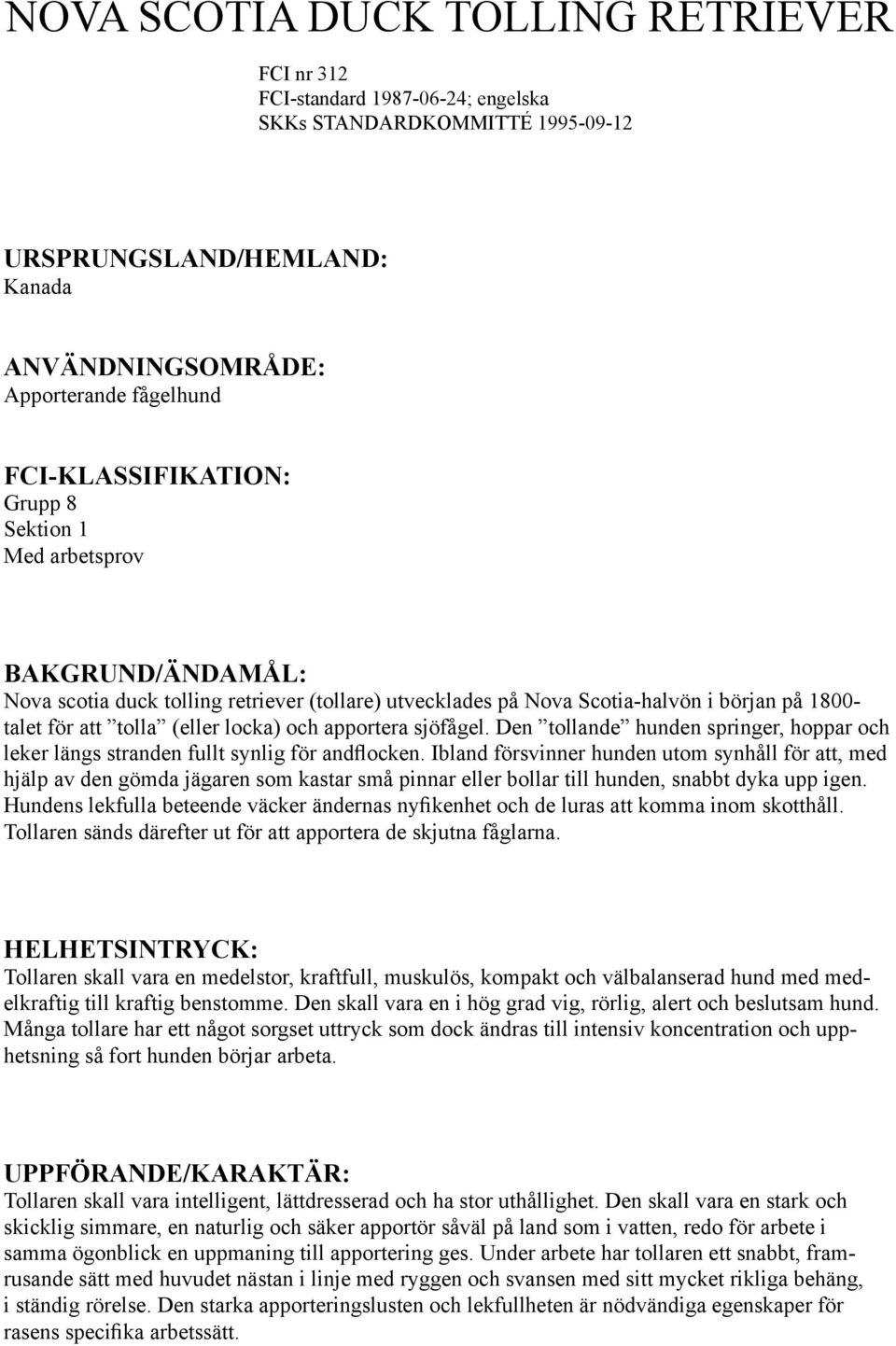 locka) och apportera sjöfågel. Den tollande hunden springer, hoppar och leker längs stranden fullt synlig för andflocken.