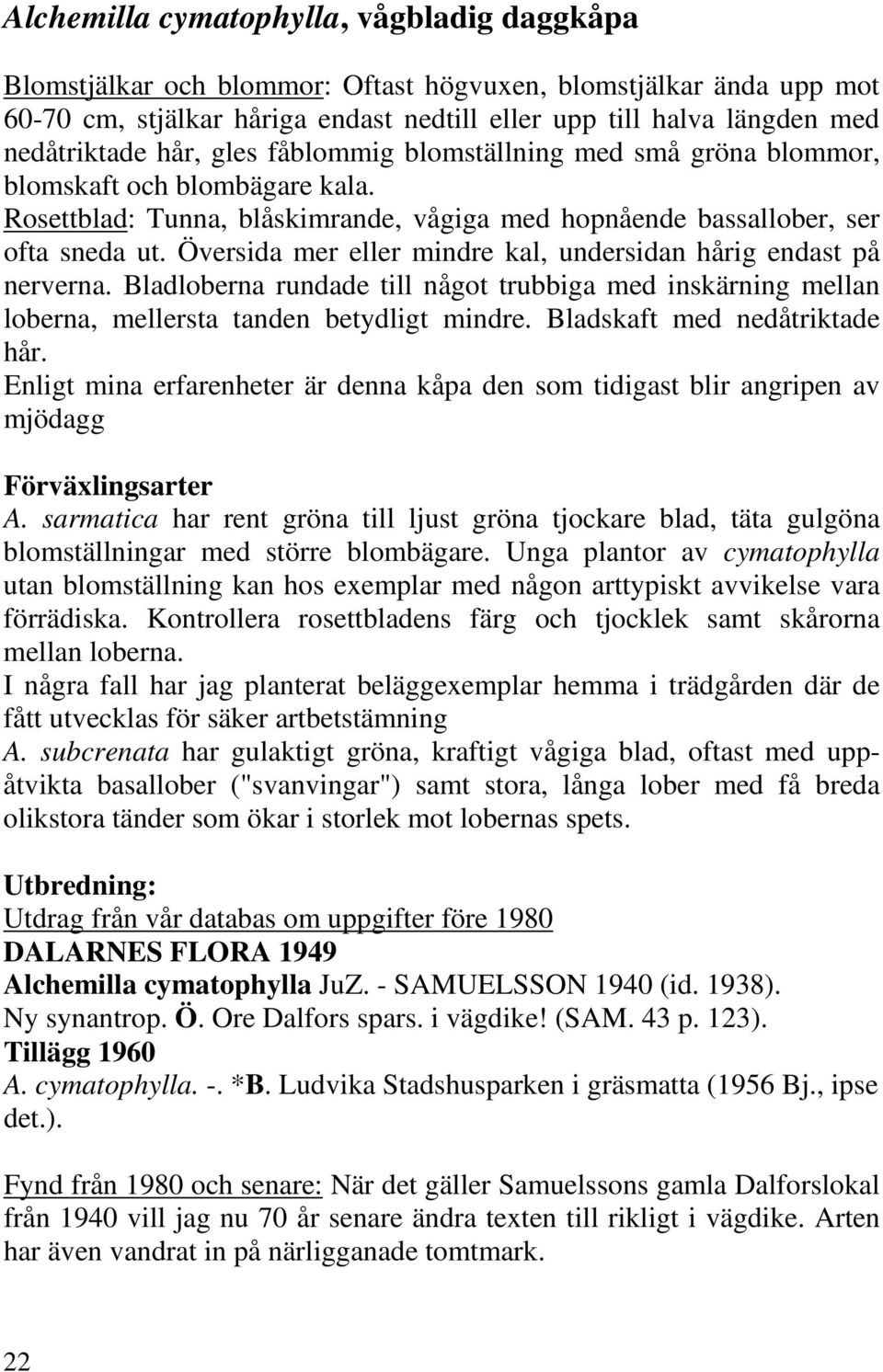 Översida mer eller mindre kal, undersidan hårig endast på nerverna. Bladloberna rundade till något trubbiga med inskärning mellan loberna, mellersta tanden betydligt mindre.