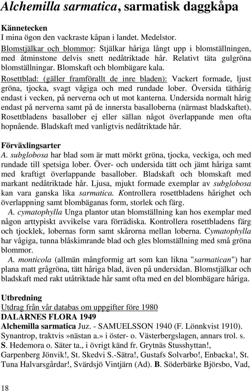 Rosettblad: (gäller framförallt de inre bladen): Vackert formade, ljust gröna, tjocka, svagt vågiga och med rundade lober. Översida täthårig endast i vecken, på nerverna och ut mot kanterna.