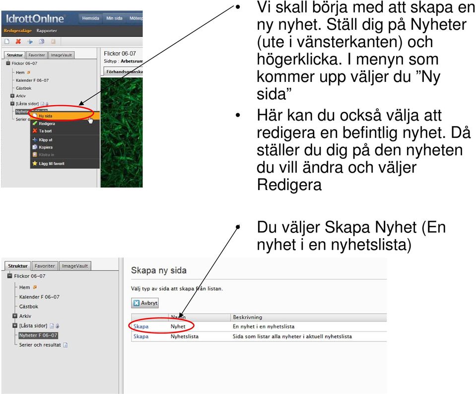 I menyn som kommer upp väljer du Ny sida Här kan du också välja att redigera