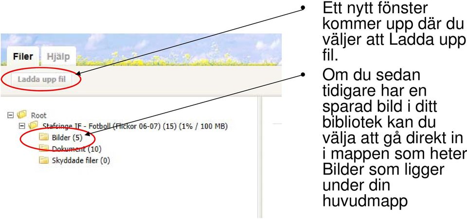 Om du sedan tidigare har en sparad bild i ditt