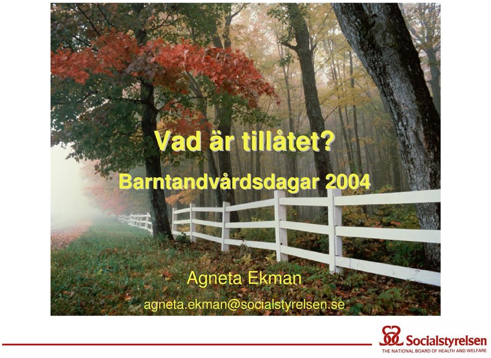 2004 Agneta Ekman