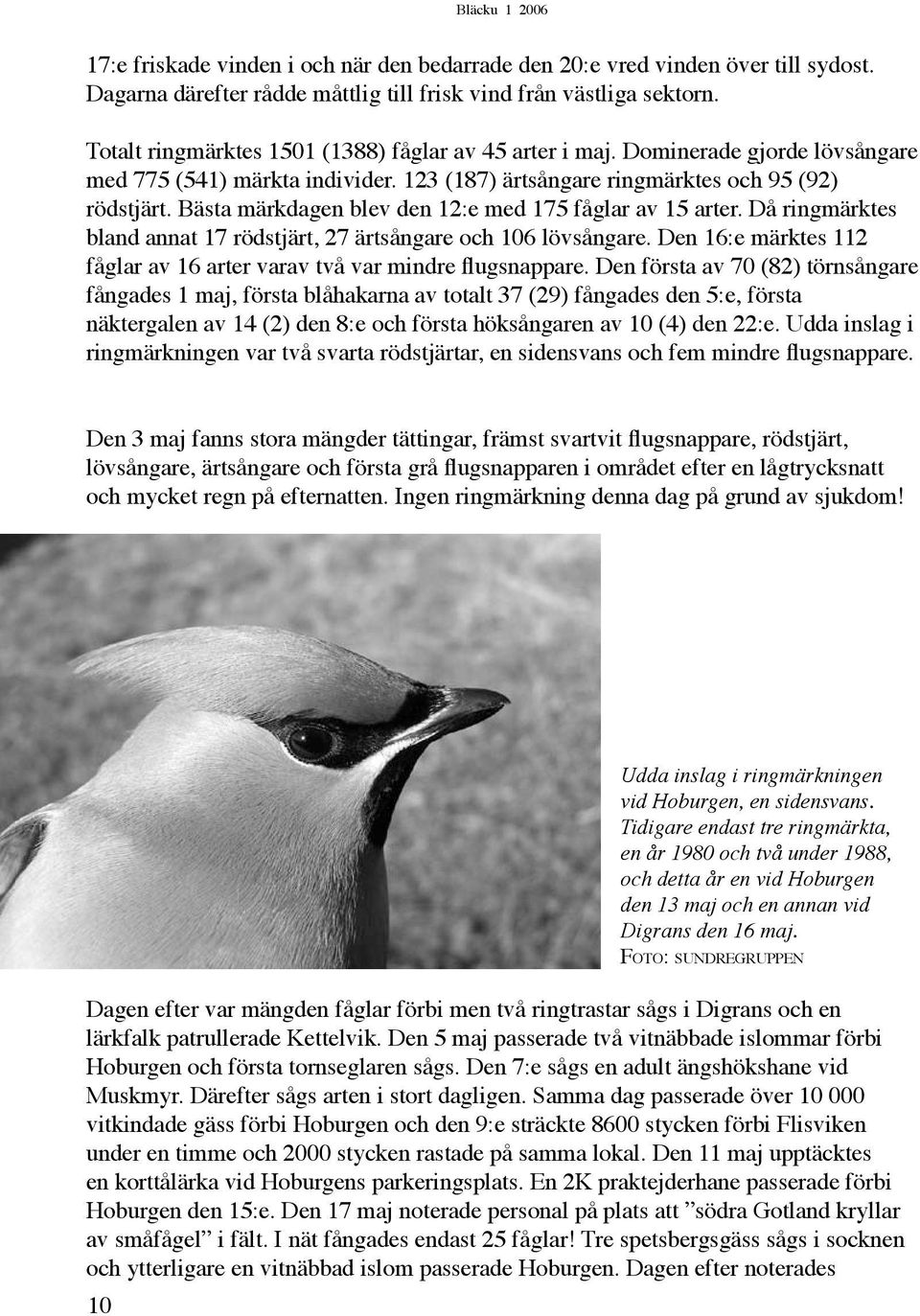Bästa märkdagen blev den 12:e med 175 fåglar av 15 arter. Då ringmärktes bland annat 17 rödstjärt, 27 ärtsångare och 106 lövsångare.