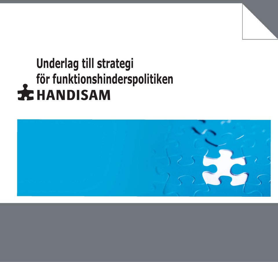 strategi för