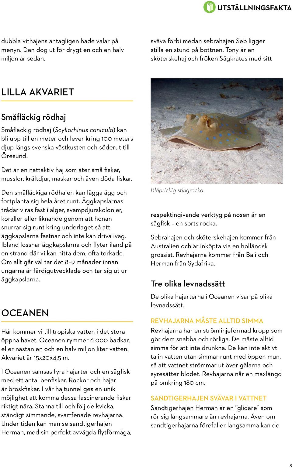 svenska västkusten och söderut till Öresund. Det är en nattaktiv haj som äter små fiskar, musslor, kräftdjur, maskar och även döda fiskar.