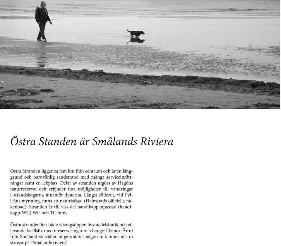 Längst söderut, vid Fylleåns mynning, finns ett naturistbad (Halmstads officiella nakenbad). Stranden är till viss del handikappanpassad (handikapp-wc) WC och TC finns.