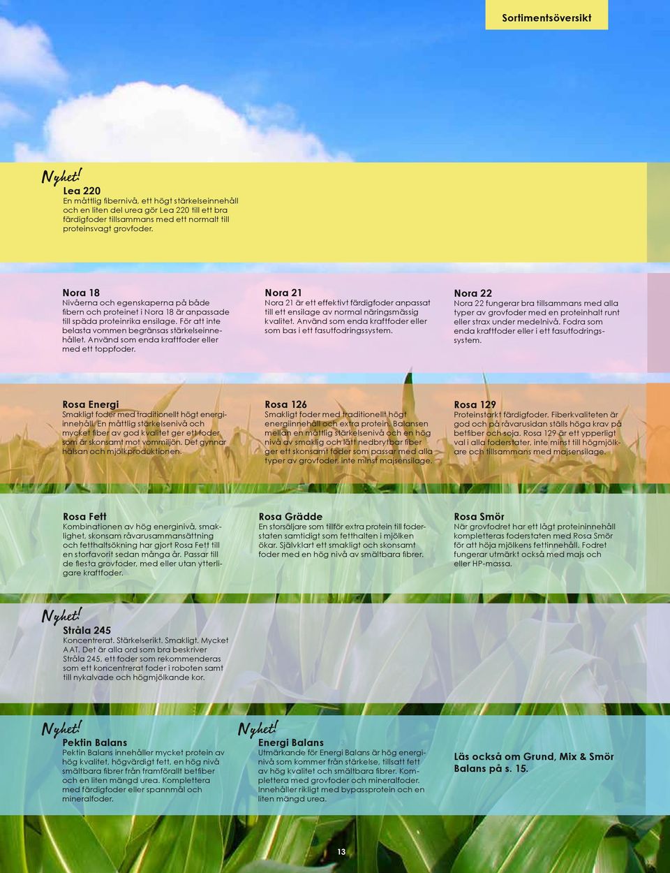 Använd som enda kraftfoder eller med ett toppfoder. Nora 21 Nora 21 är ett effektivt färdigfoder anpassat till ett ensilage av normal näringsmässig kvalitet.