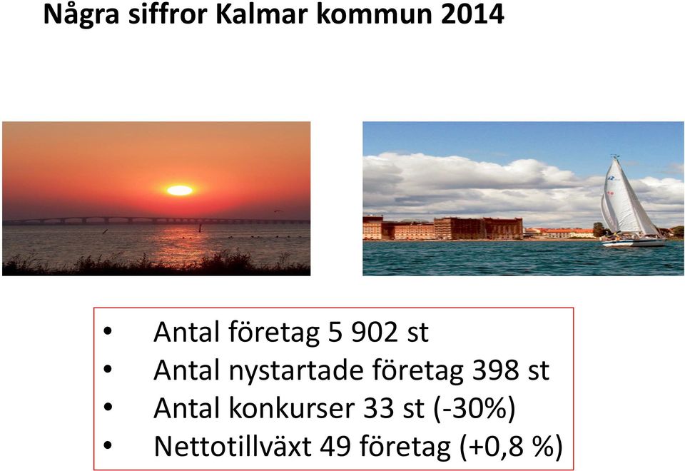 nystartade företag 398 st Antal