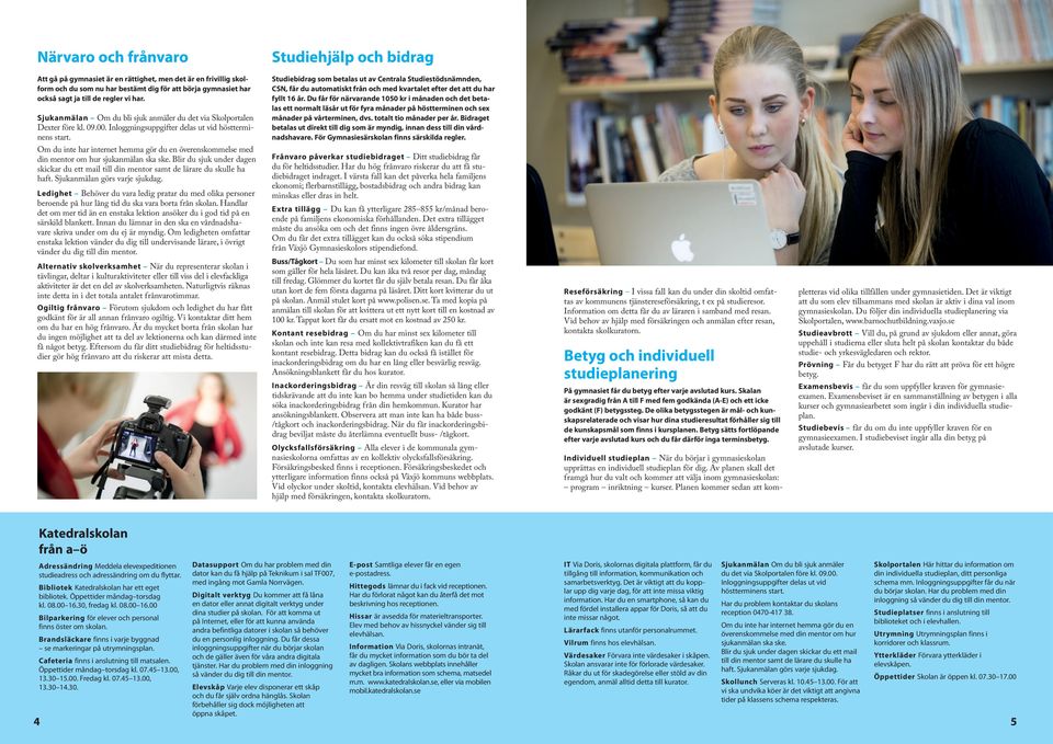 Om du inte har internet hemma gör du en överenskommelse med din mentor om hur sjukanmälan ska ske. Blir du sjuk under dagen skickar du ett mail till din mentor samt de lärare du skulle ha haft.