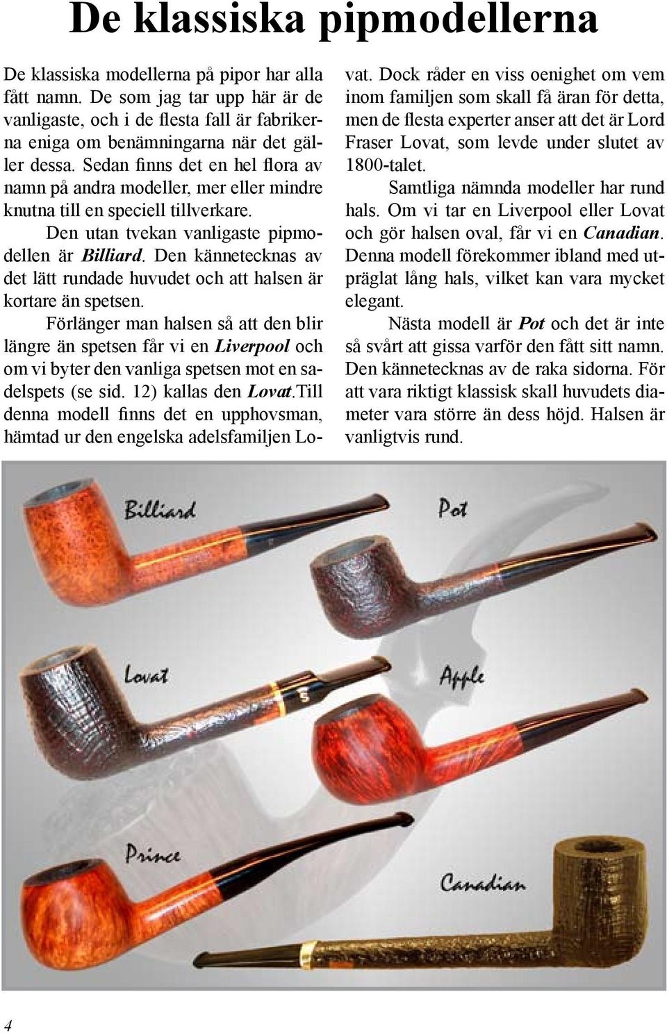 Den kännetecknas av det lätt rundade huvudet och att halsen är kortare än spetsen.