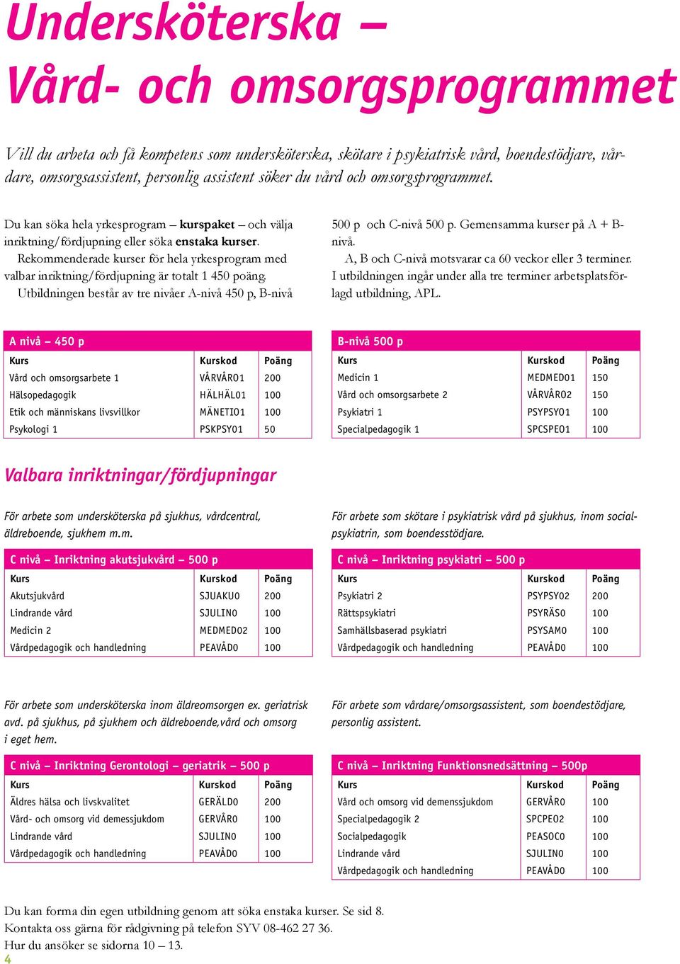 Rekommenderade kurser för hela yrkesprogram med valbar inriktning/fördjupning är totalt 1 450 poäng. Utbildningen består av tre nivåer A-nivå 450 p, B-nivå 500 p och C-nivå 500 p.