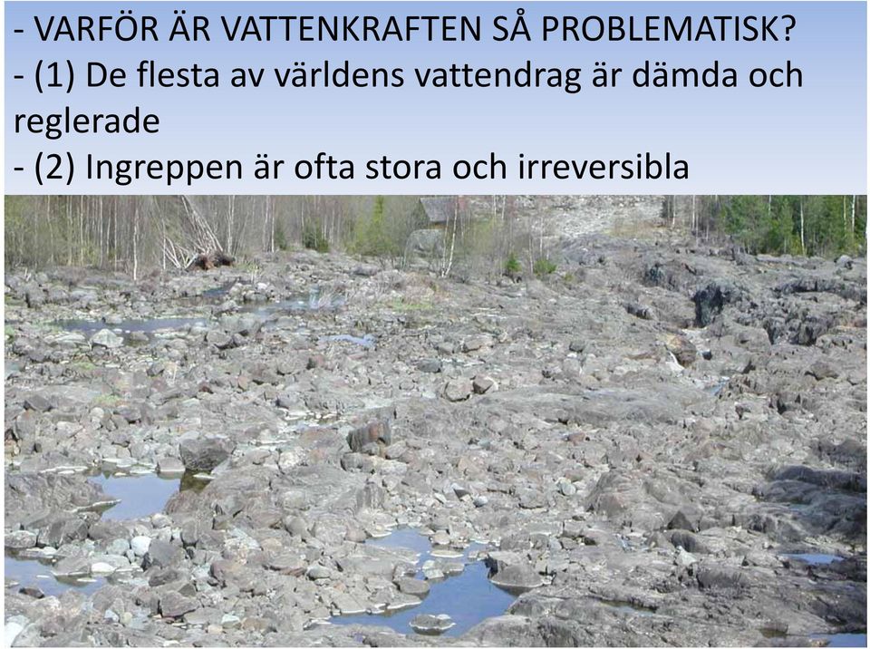 (1) Deflesta av världens vattendrag