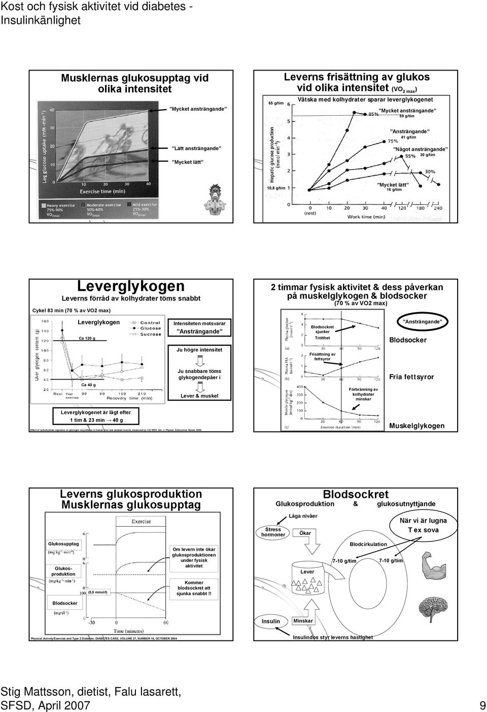 min (70 % av VO2 max) 2 tiar fysisk aktivitet & dess påverkan på muskelglykogen & blodsocker (70 % av VO2 max) Leverglykogen Ca 120 g Intensiteten motsvarar Ansträngande Blodsockret sjunker Trötthet