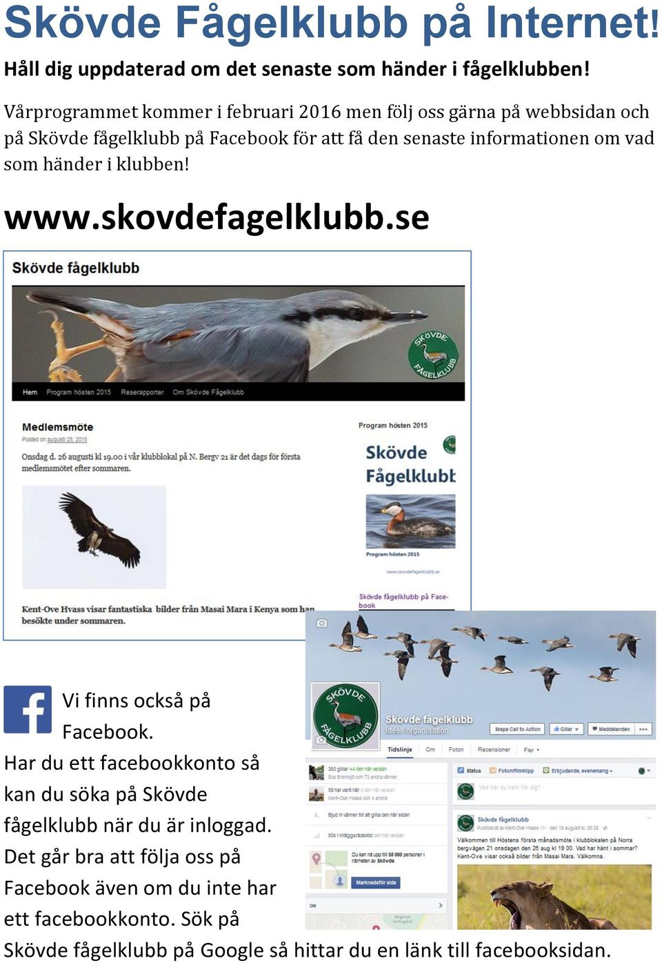 informationen om vad som händer i klubben! www.skovdefagelklubb.se Vi finns också på Facebook.