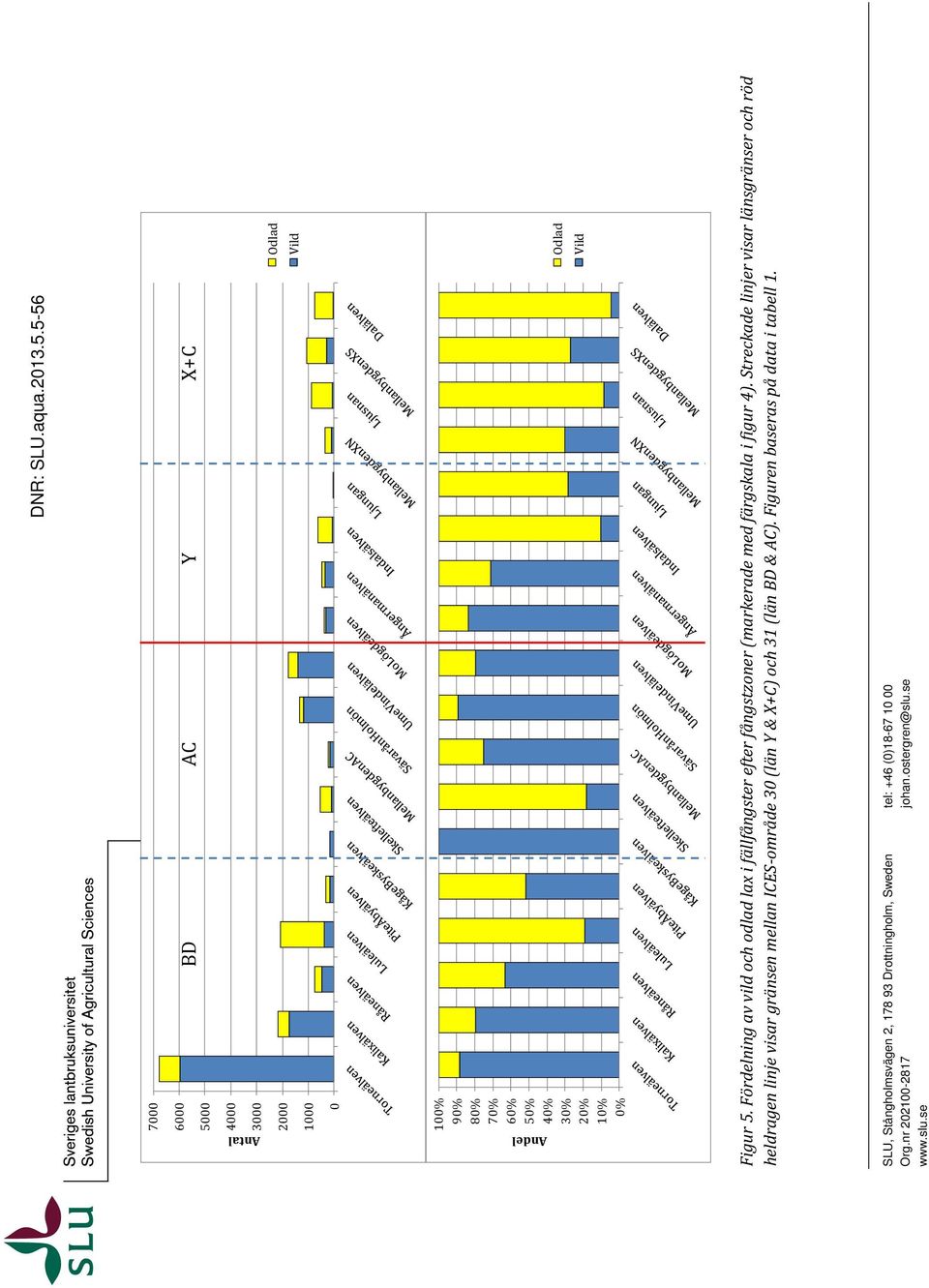 Streckade linjer visar länsgränser och röd heldragen linje visar gränsen mellan ICES område 3 (län Y & X+C) och 31 (län BD & AC).