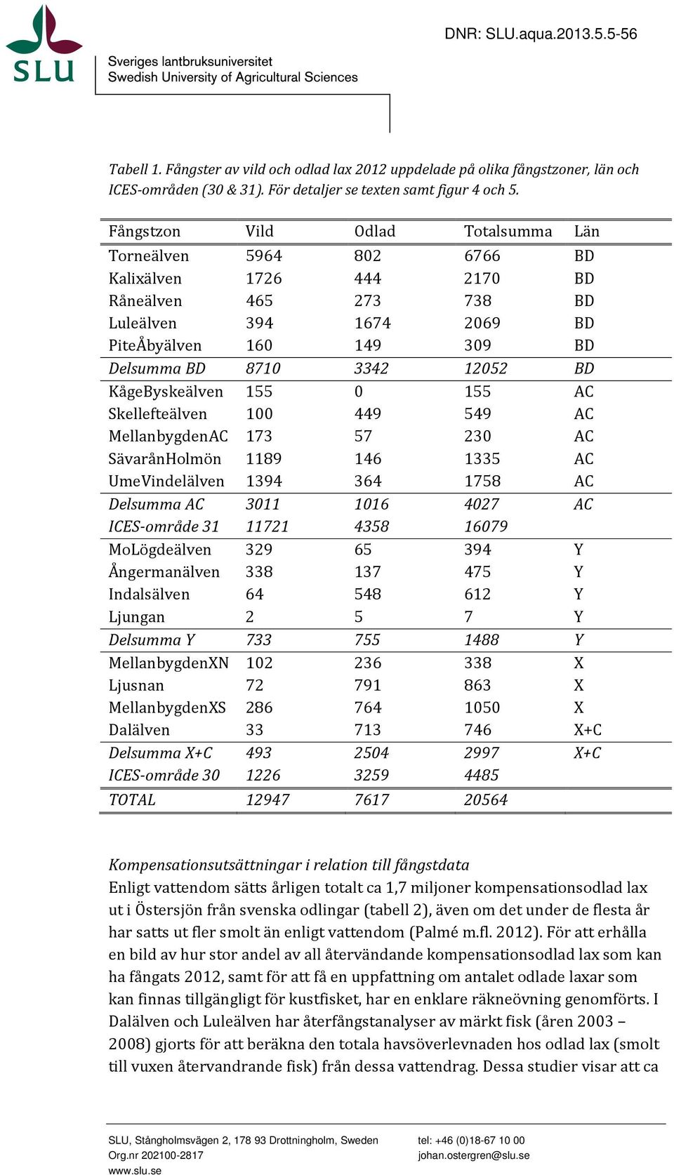 KågeByskeälven 155 155 AC Skellefteälven 1 449 549 AC MellanbygdenAC 173 57 23 AC SävarånHolmön 1189 146 1335 AC UmeVindelälven 1394 364 1758 AC Delsumma AC 311 116 427 AC ICES område 31 11721 4358