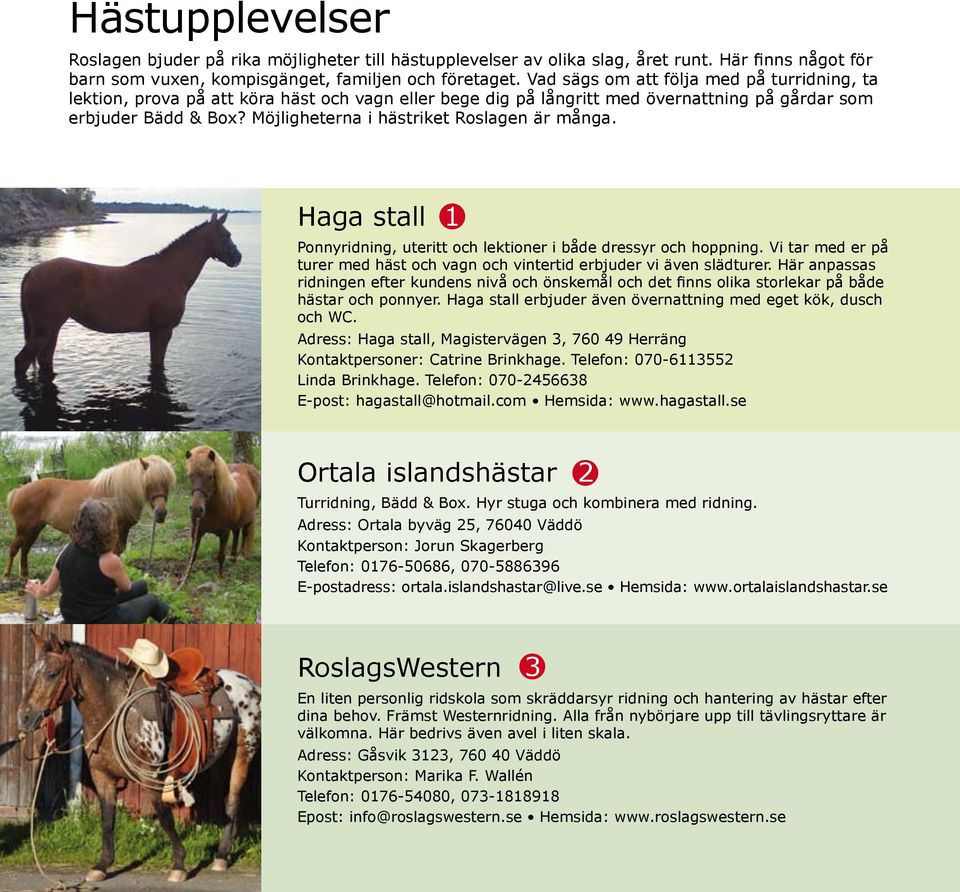 Möjligheterna i hästriket Roslagen är många. Haga stall 1 Ponnyridning, uteritt och lektioner i både dressyr och hoppning.