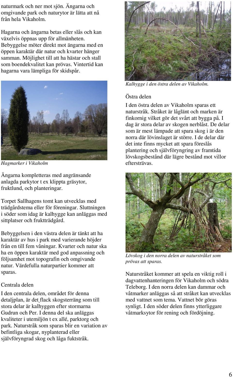 Vintertid kan hagarna vara lämpliga för skidspår. Kalhygge i den östra delen av Vikaholm. Hagmarker i Vikaholm Östra delen I den östra delen av Vikaholm sparas ett naturstråk.