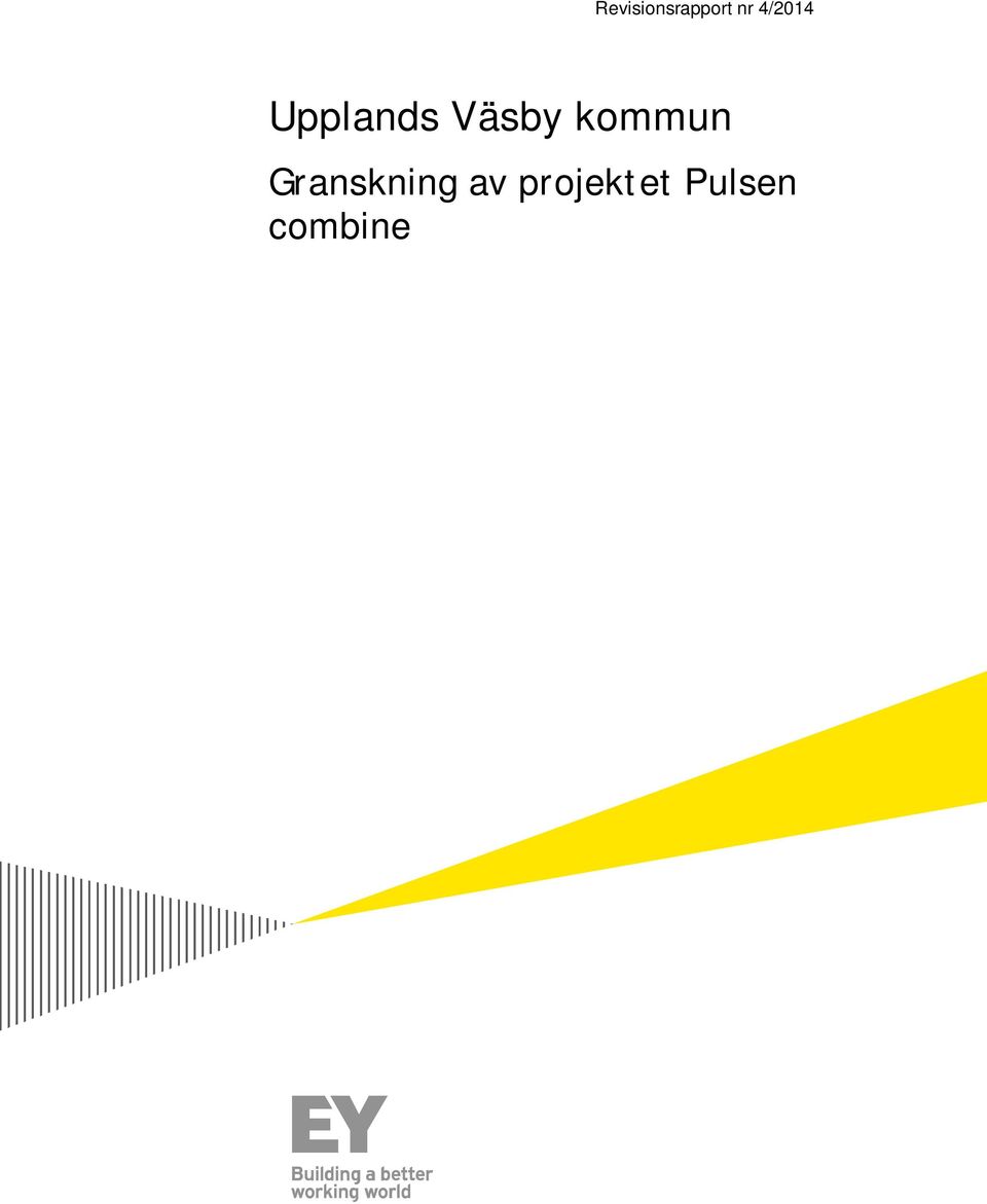 kommun Granskning av