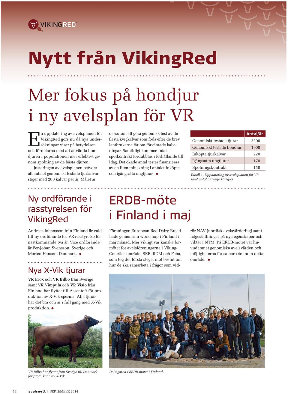 målet är dessutom att göra genomisk test av de ﬂesta kvigkalvar som föds efter de brev lantbrukarna får om förväntade kalvningar.