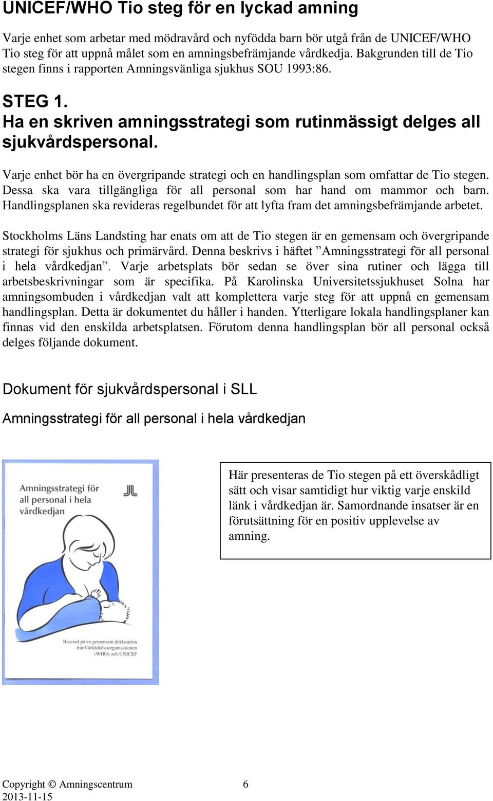 Varje enhet bör ha en övergripande strategi och en handlingsplan som omfattar de Tio stegen. Dessa ska vara tillgängliga för all personal som har hand om mammor och barn.