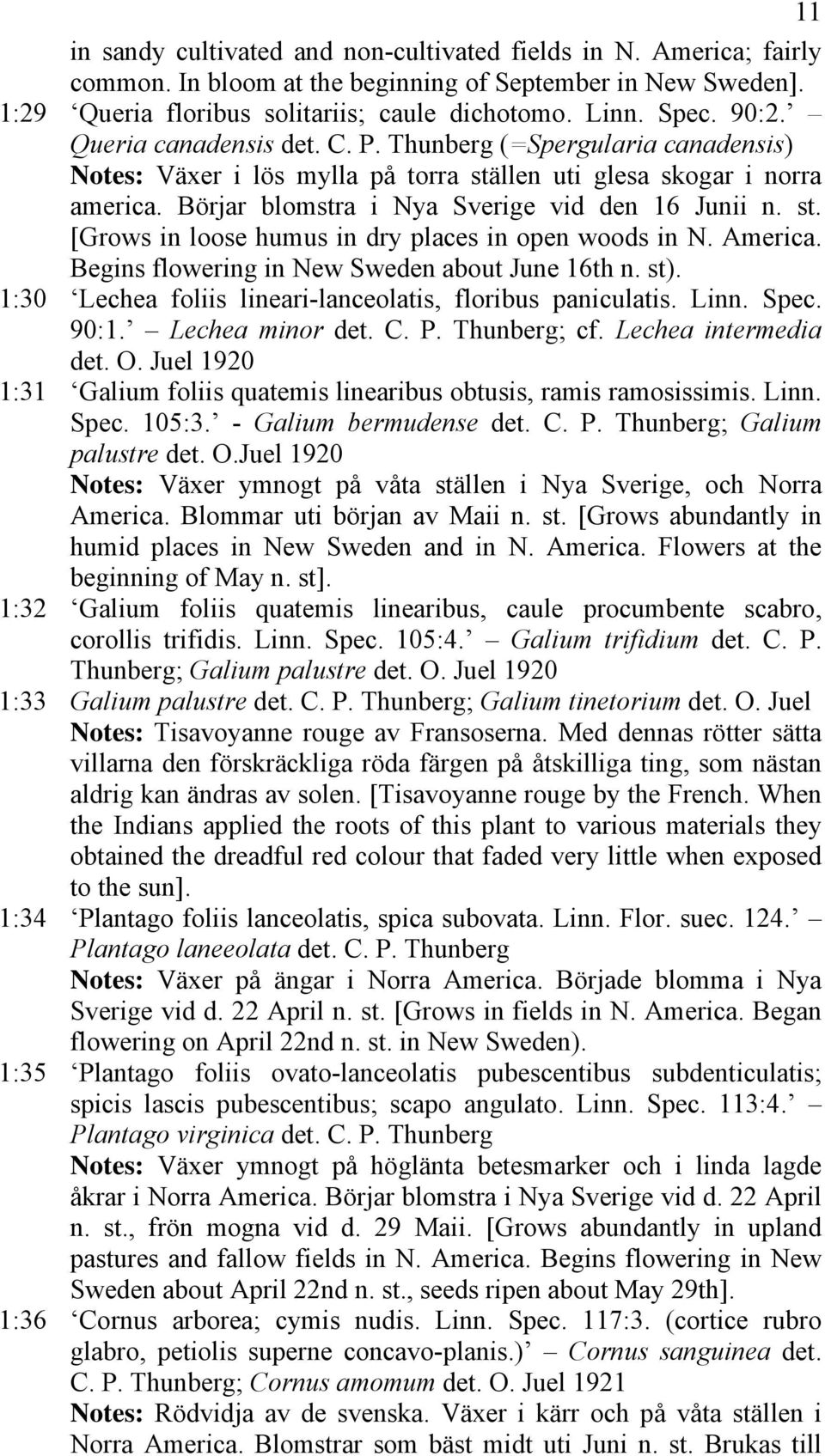 America. Begins flowering in New Sweden about June 16th n. st). 1:30 Lechea foliis lineari-lanceolatis, floribus paniculatis. Linn. Spec. 90:1. Lechea minor det. C. P. Thunberg; cf.
