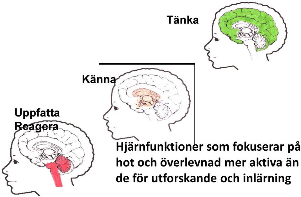 på hot och överlevnad mer