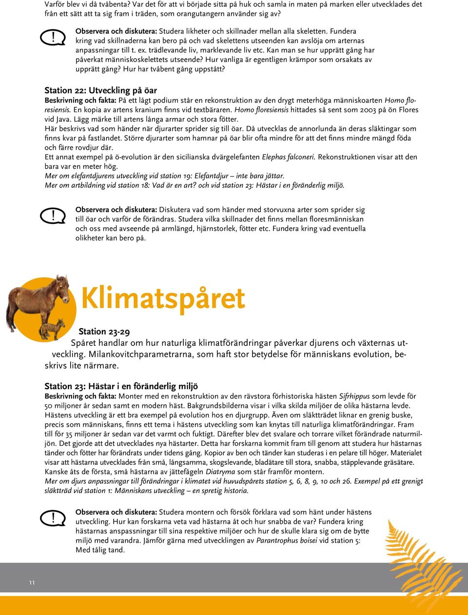 trädlevande liv, marklevande liv etc. Kan man se hur upprätt gång har påverkat människoskelettets utseende? Hur vanliga är egentligen krämpor som orsakats av upprätt gång?