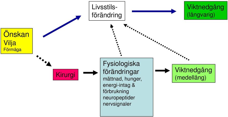 förändringar mättnad, hunger, energi-intag &