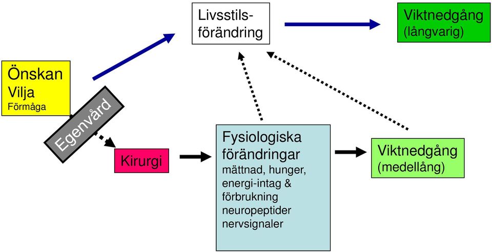 förändringar mättnad, hunger, energi-intag &