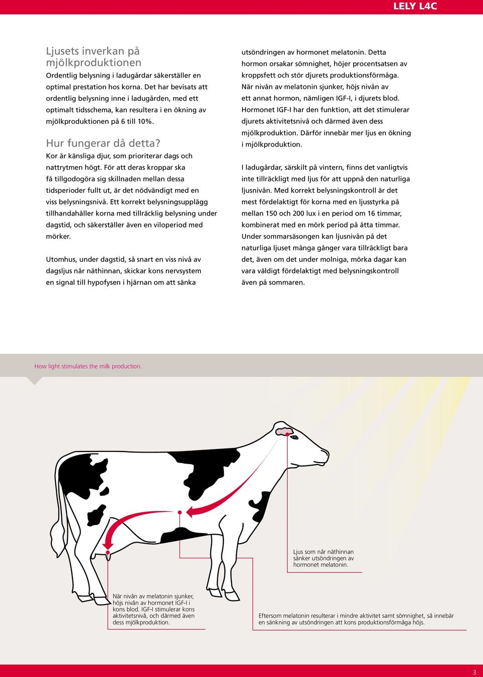 Kor är känsliga djur, som prioriterar dags och nattrytmen högt.