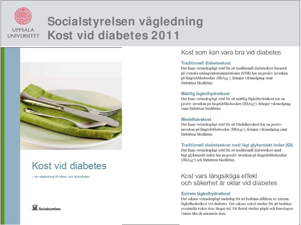 kost vid diabetes socialstyrelsen)