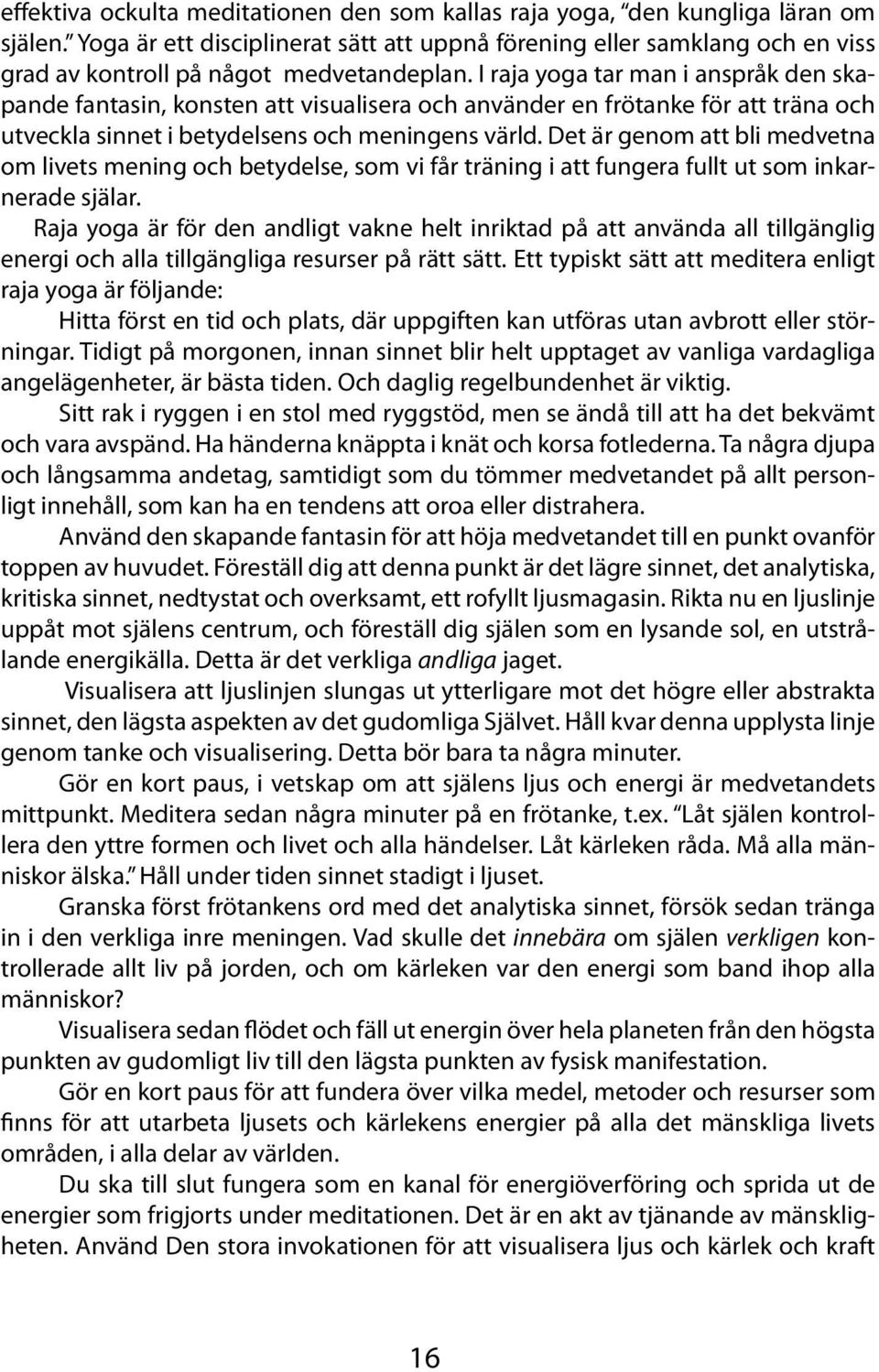 I raja yoga tar man i anspråk den skapande fantasin, konsten att visualisera och använder en frötanke för att träna och utveckla sinnet i betydelsens och meningens värld.