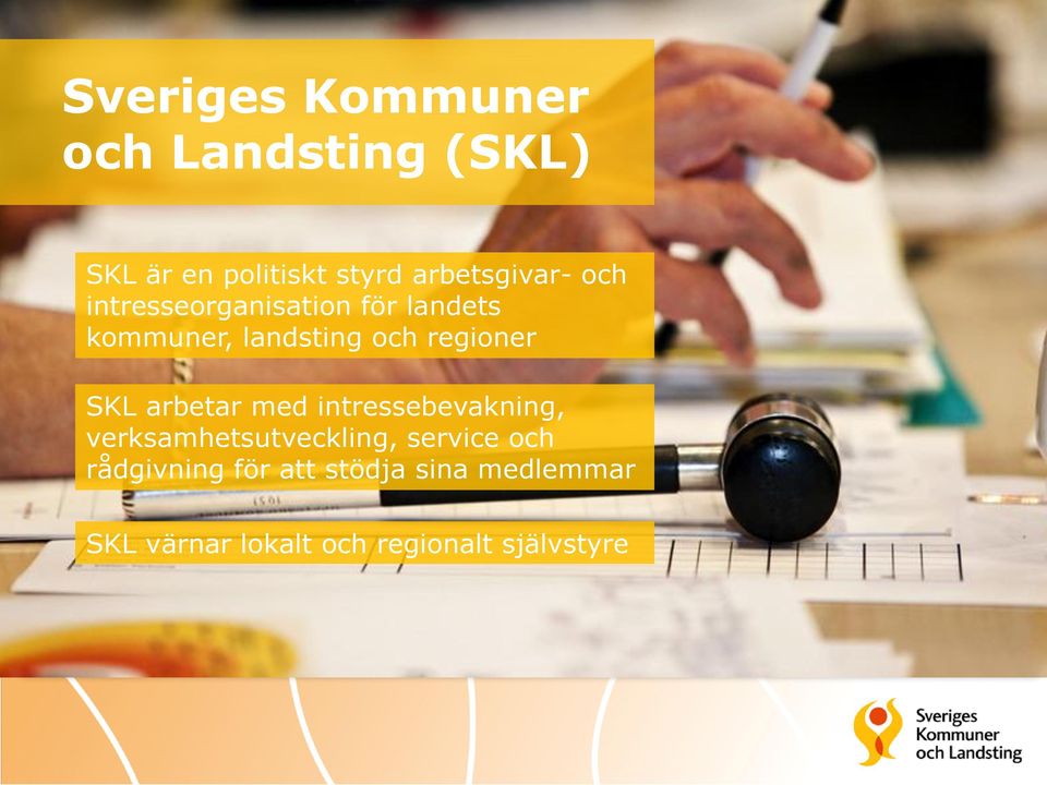 regioner SKL arbetar med intressebevakning, verksamhetsutveckling, service