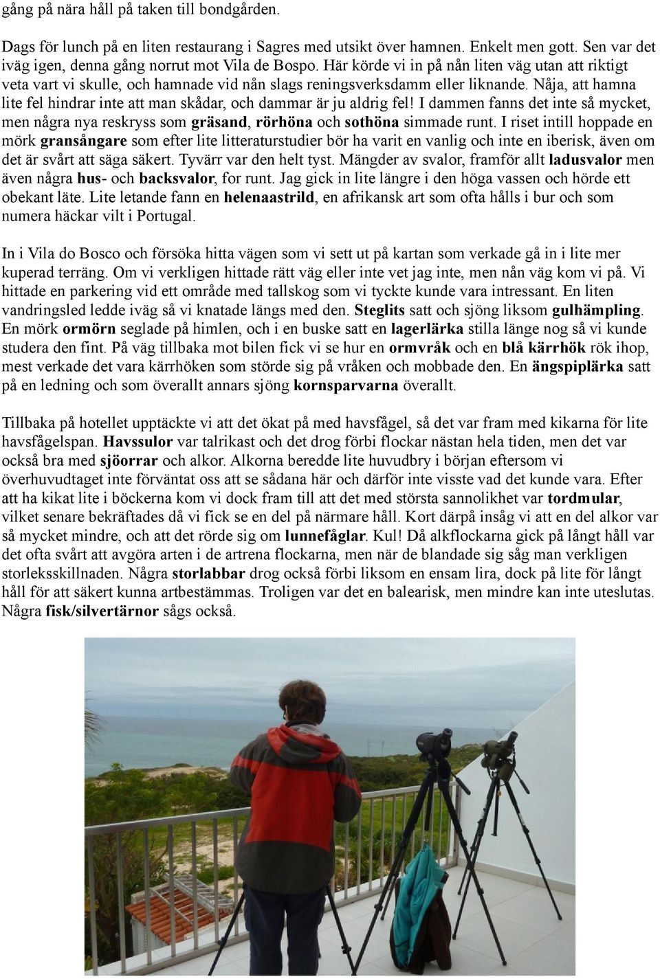 Nåja, att hamna lite fel hindrar inte att man skådar, och dammar är ju aldrig fel! I dammen fanns det inte så mycket, men några nya reskryss som gräsand, rörhöna och sothöna simmade runt.