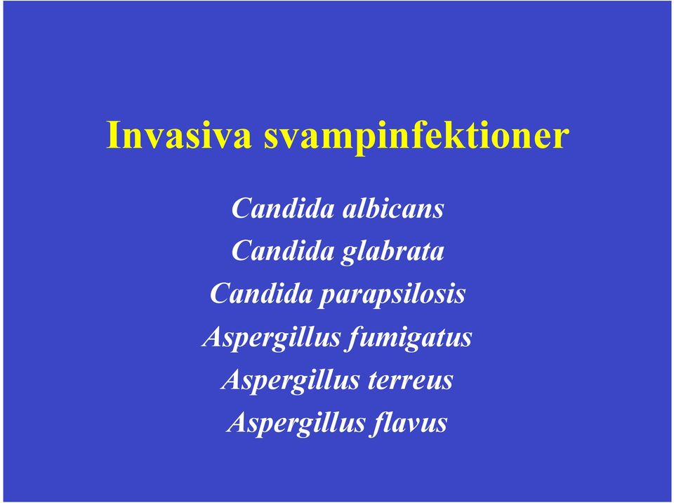 parapsilosis Aspergillus fumigatus