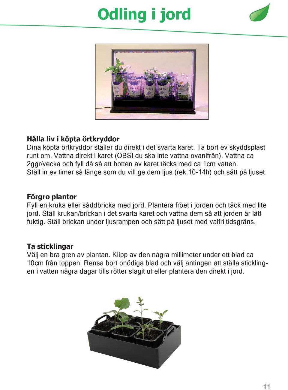 Förgro plantor Fyll en kruka eller såddbricka med jord. Plantera fröet i jorden och täck med lite jord. Ställ krukan/brickan i det svarta karet och vattna dem så att jorden är lätt fuktig.