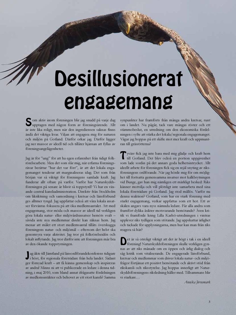 Därför lägger jag ner massor av ideell tid och tillåter hjärnan att fyllas av förenings angelägenheter. Jag är för ung för att ha egen erfarenhet från tidigt folkrörelsearbete.