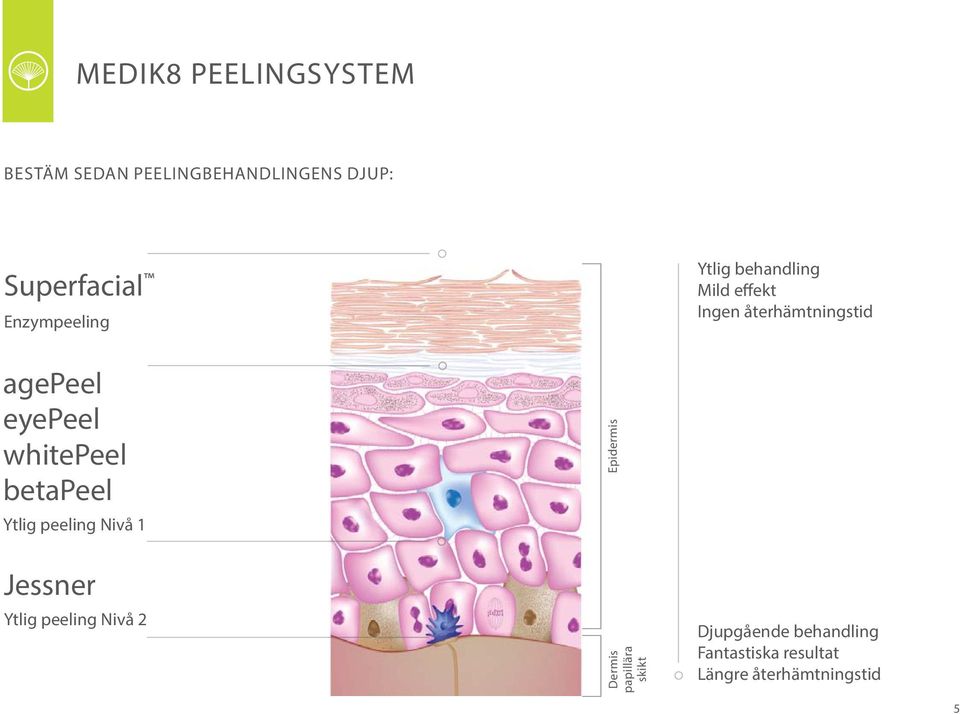 whitepeel betapeel Ytlig peeling Nivå 1 Epidermis Jessner Ytlig peeling Nivå 2