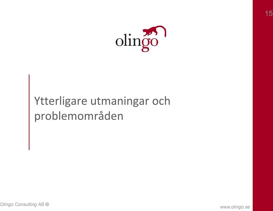 problemområden