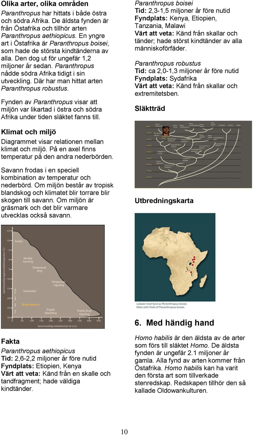 Där har man hittat arten Paranthropus robustus. Fynden av Paranthropus visar att miljön var likartad i östra och södra Afrika under tiden släktet fanns till.