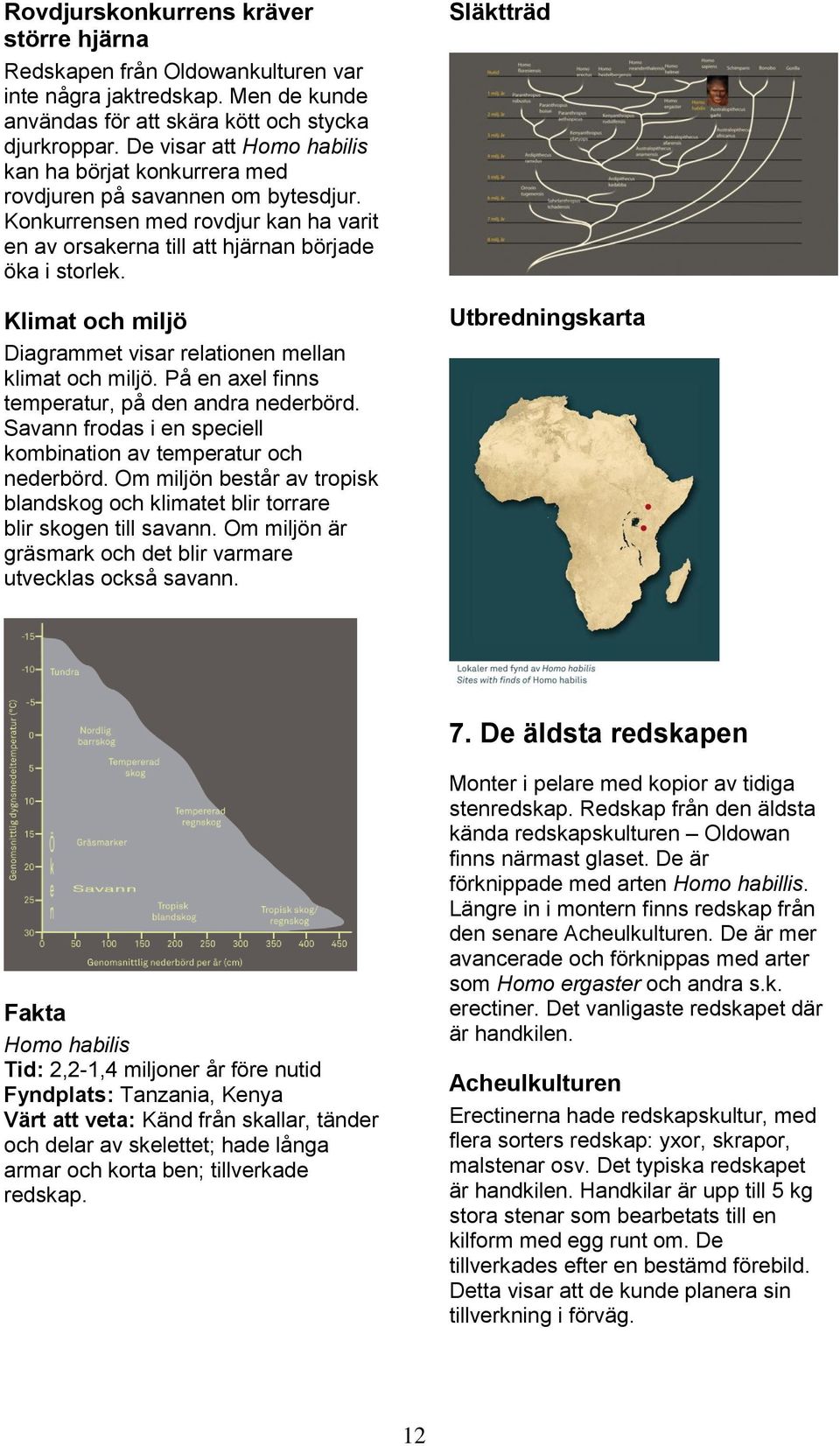 Klimat och miljö Diagrammet visar relationen mellan klimat och miljö. På en axel finns temperatur, på den andra nederbörd. Savann frodas i en speciell kombination av temperatur och nederbörd.