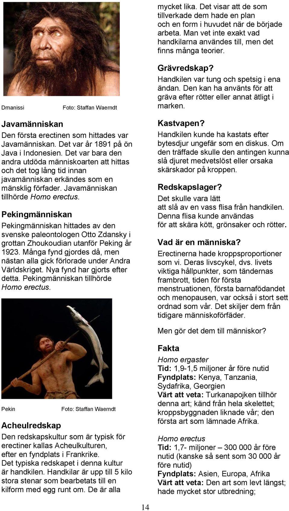 Det var år 1891 på ön Java i Indonesien. Det var bara den andra utdöda människoarten att hittas och det tog lång tid innan javamänniskan erkändes som en mänsklig förfader.