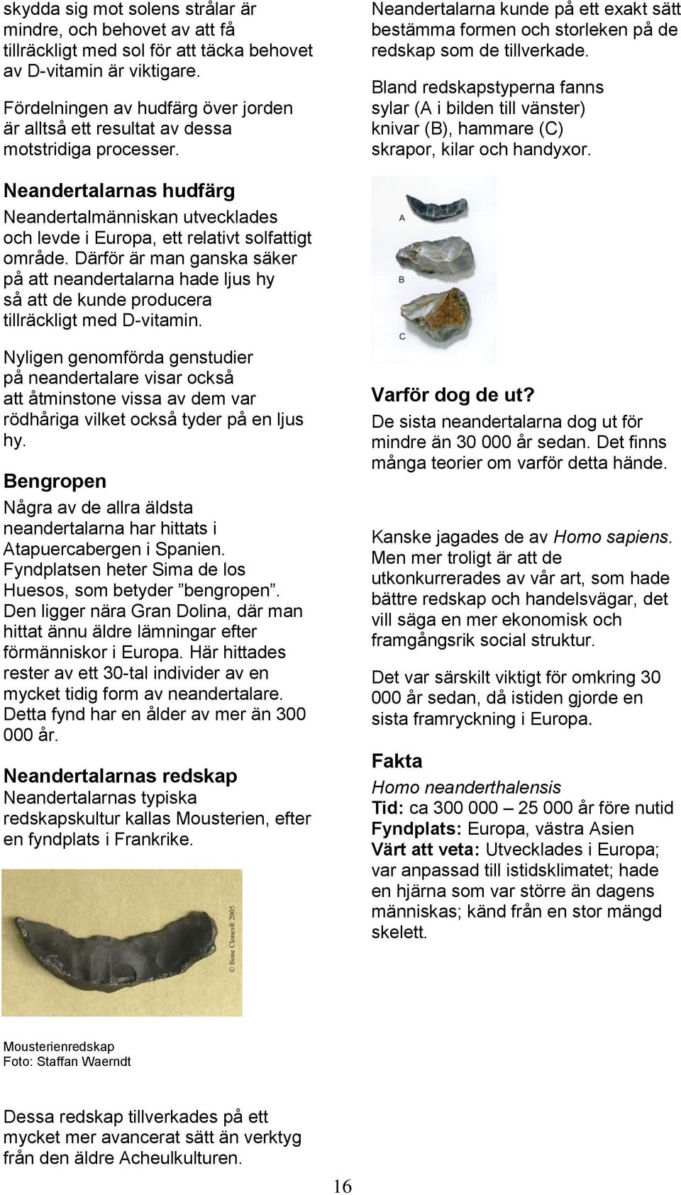 Bland redskapstyperna fanns sylar (A i bilden till vänster) knivar (B), hammare (C) skrapor, kilar och handyxor.