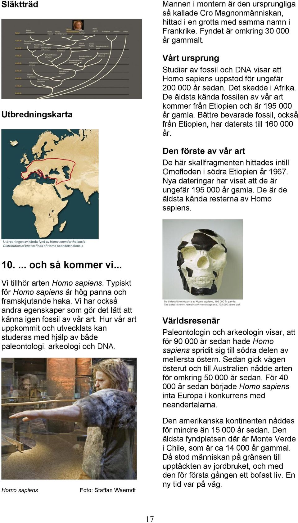 De äldsta kända fossilen av vår art kommer från Etiopien och är 195 000 år gamla. Bättre bevarade fossil, också från Etiopien, har daterats till 160 000 år.