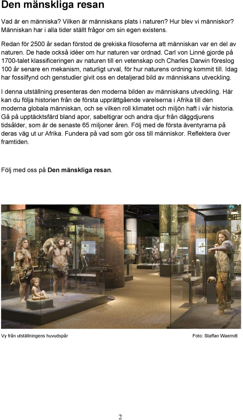 Carl von Linné gjorde på 1700-talet klassificeringen av naturen till en vetenskap och Charles Darwin föreslog 100 år senare en mekanism, naturligt urval, för hur naturens ordning kommit till.