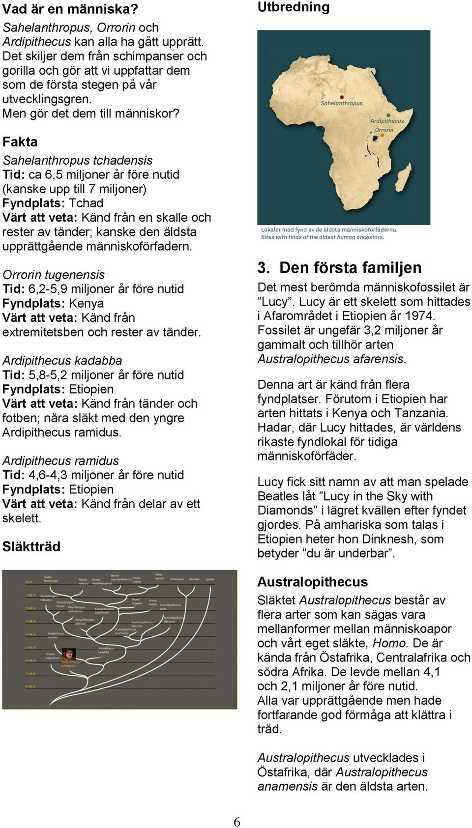 Fakta Sahelanthropus tchadensis Tid: ca 6,5 miljoner år före nutid (kanske upp till 7 miljoner) Fyndplats: Tchad Värt att veta: Känd från en skalle och rester av tänder; kanske den äldsta