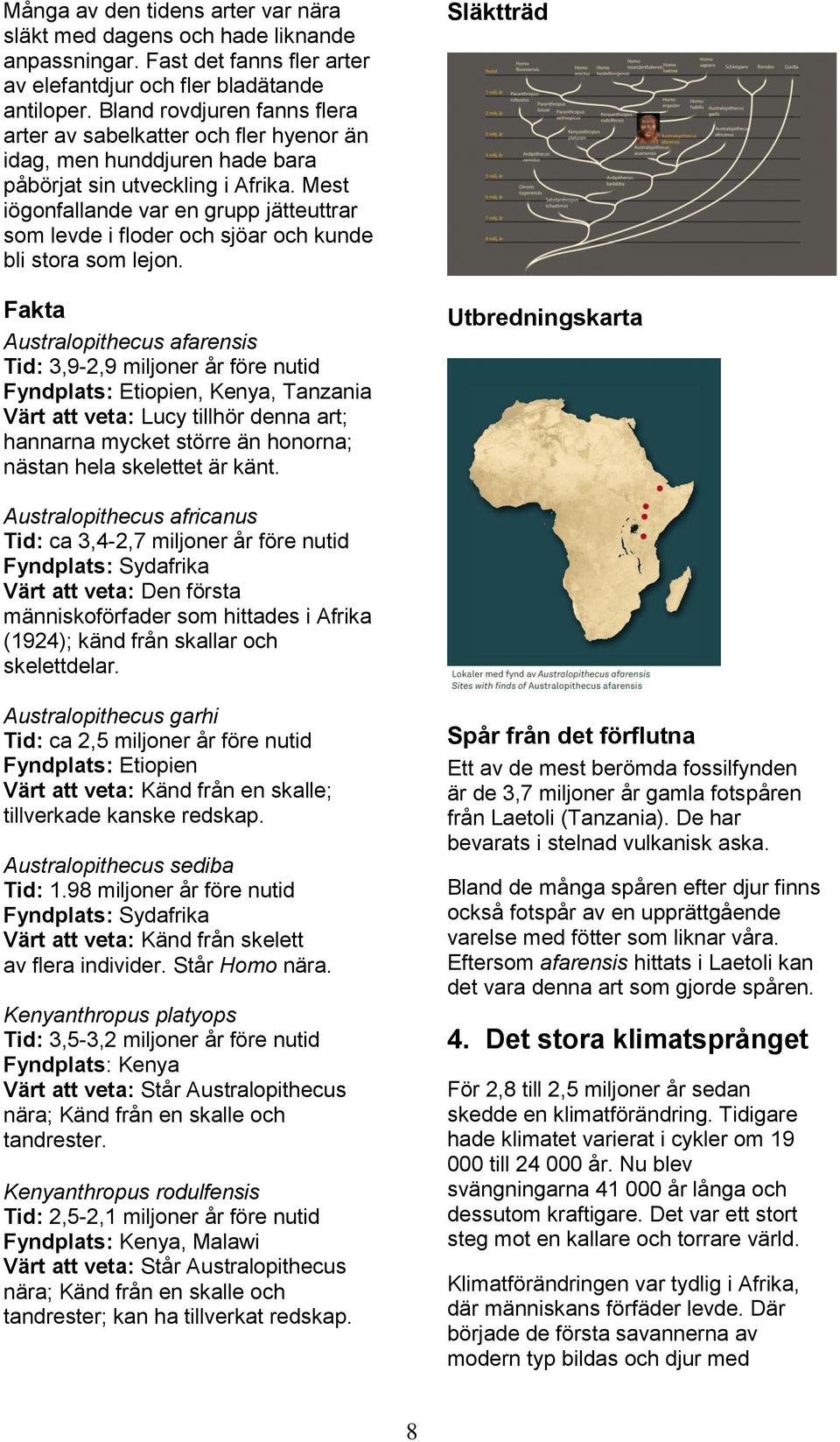 Mest iögonfallande var en grupp jätteuttrar som levde i floder och sjöar och kunde bli stora som lejon.